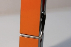 pince_geante_orange_2008_grand